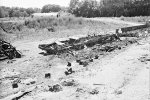 FDDMS 82 and 62 remains